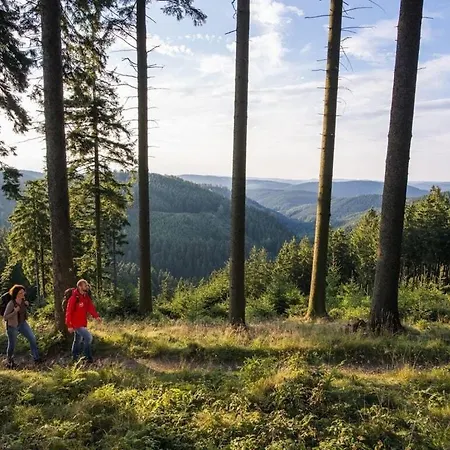 Ortmann's Owl's Nest Appartement Finnentrop