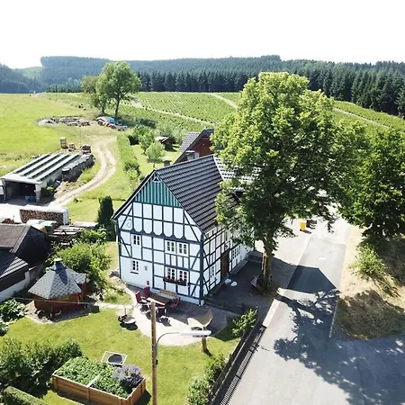 Ortmann's Owl's Nest Appartement